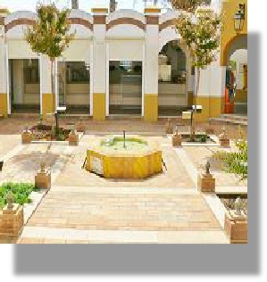 Guia Albufeira daily fish market and open courtyard