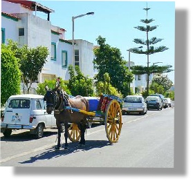 Estombar street scene with donkey and cart waiting for owner