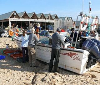 Armacao de Pera fishermand beach with a boat showing locals the catch of the day